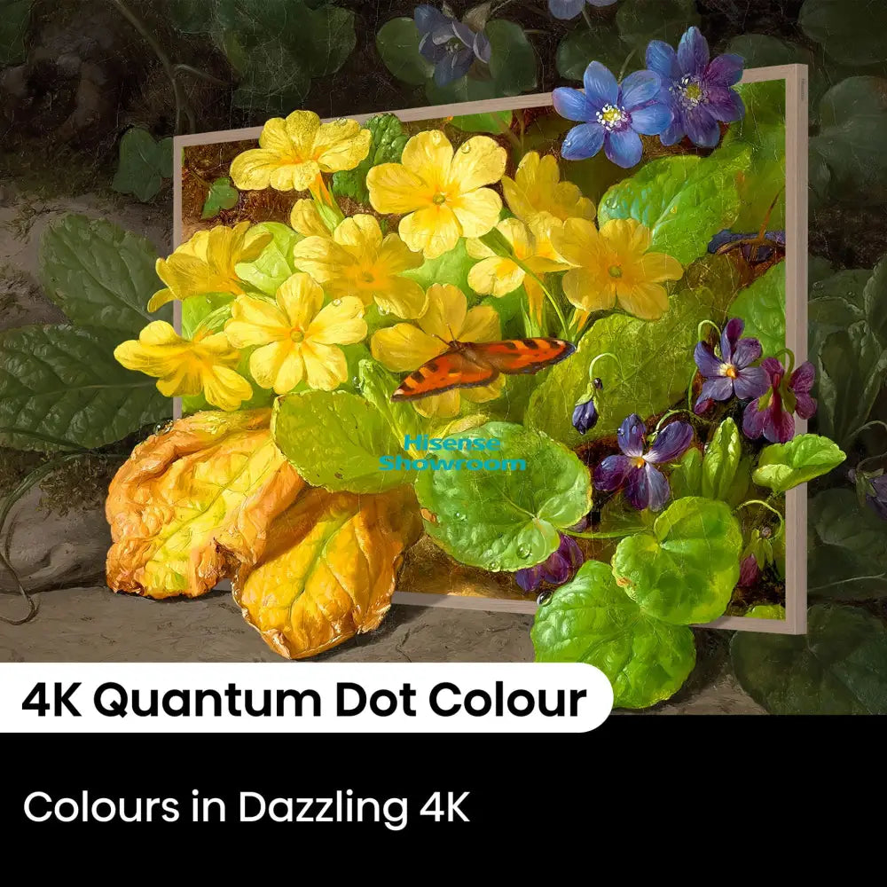 Hisense 55’’ Canvas QLED Smart 4K | 55S7N